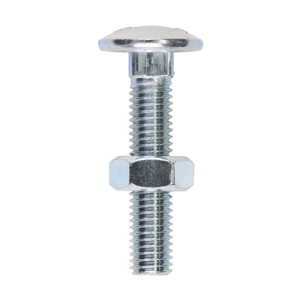 Carriage Bolts & Hex Nuts - Zinc | M10 x 50 | Box product image