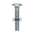 Carriage Bolts & Hex Nuts - Zinc | M10 x 50 | Box product image