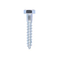 Coach Screws - Hex - Zinc | 10.0 x 60 product image