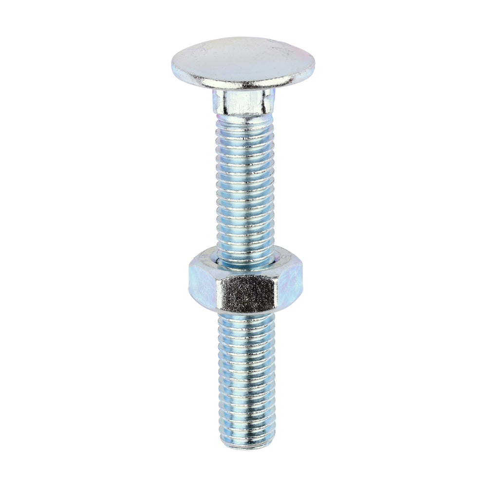 Carriage Bolts & Hex Nuts - Zinc | M10 x 65 product image