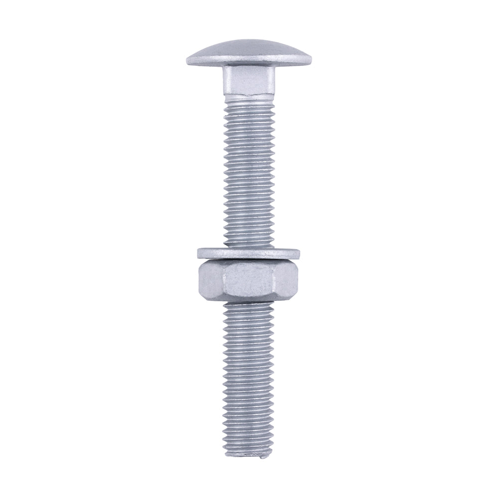 Carriage Bolts Hex Nuts & Form A Washers - Dome - Exterior - Silver | M10 x 75 product image