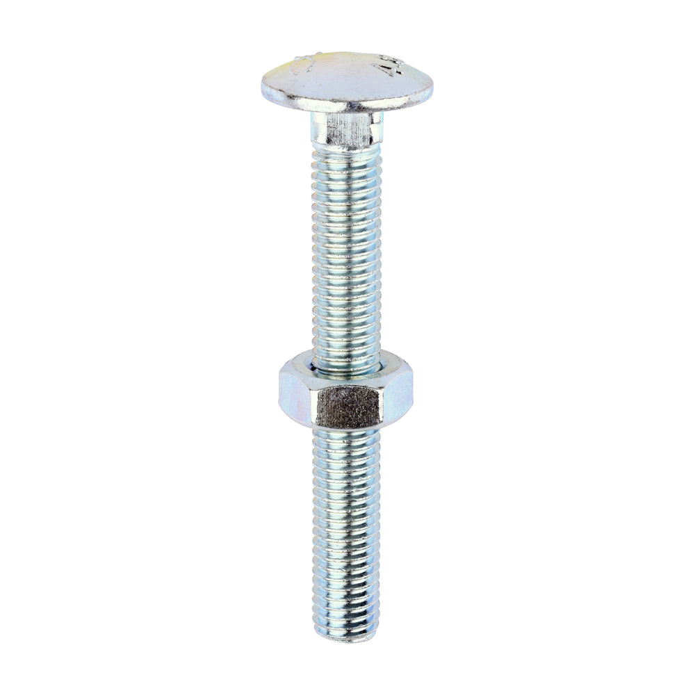 Carriage Bolts & Hex Nuts - Zinc | M10 x 80 product image