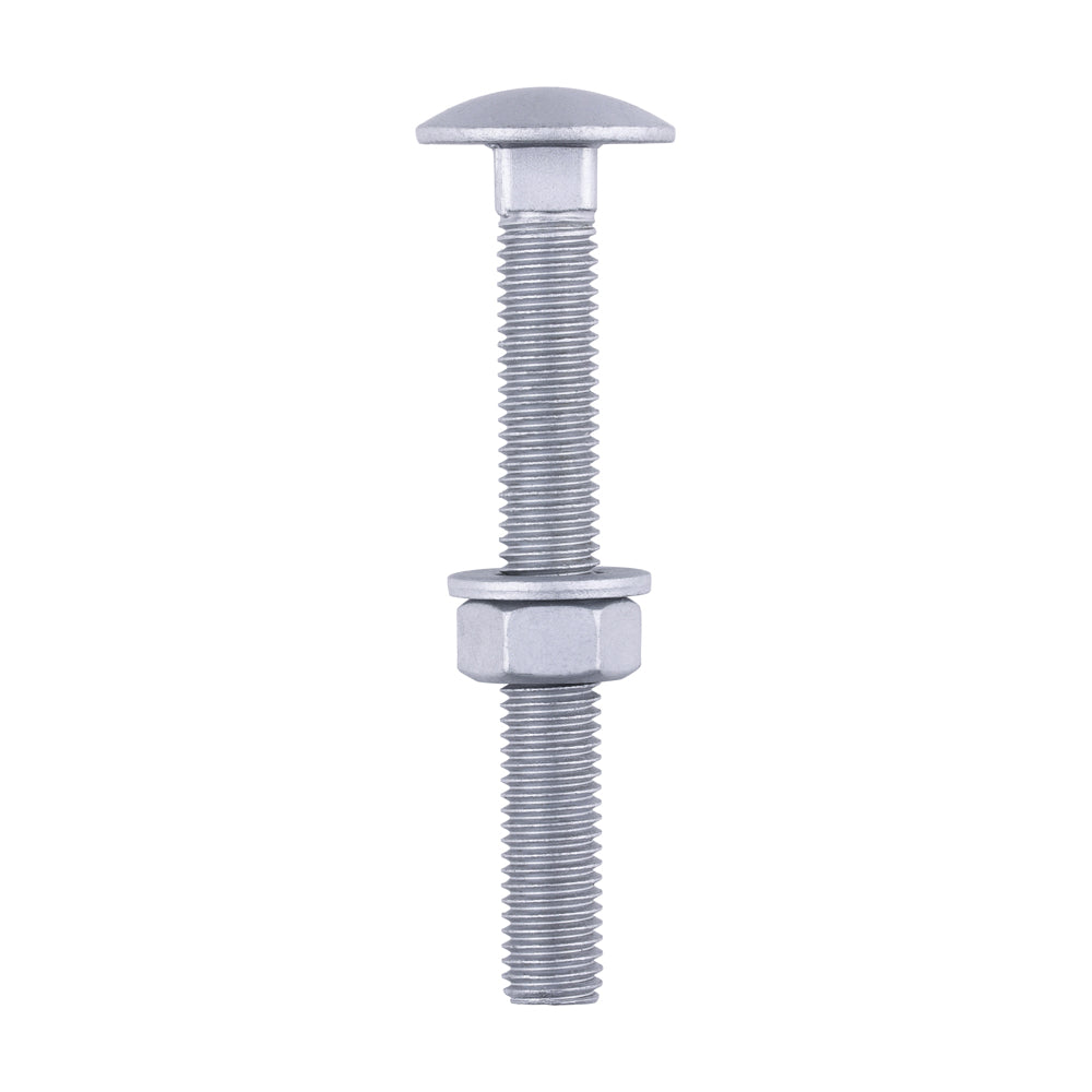 Carriage Bolts Hex Nuts & Form A Washers - Dome - Exterior - Silver | M12 x 100 product image