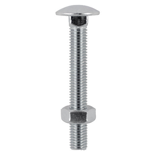 Carriage Bolts & Hex Nuts - Stainless Steel | M12 x 100 product image