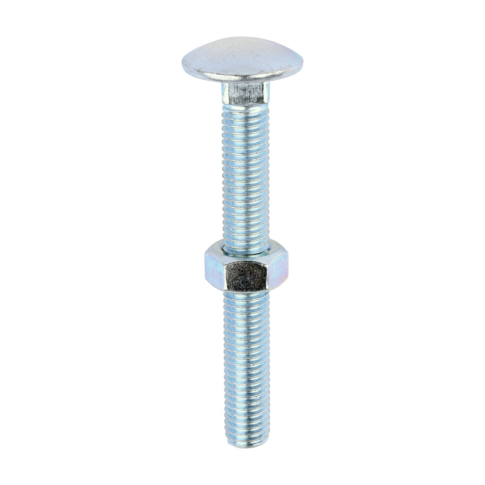 Carriage Bolts & Hex Nuts - Zinc | M12 x 100 | Box product image
