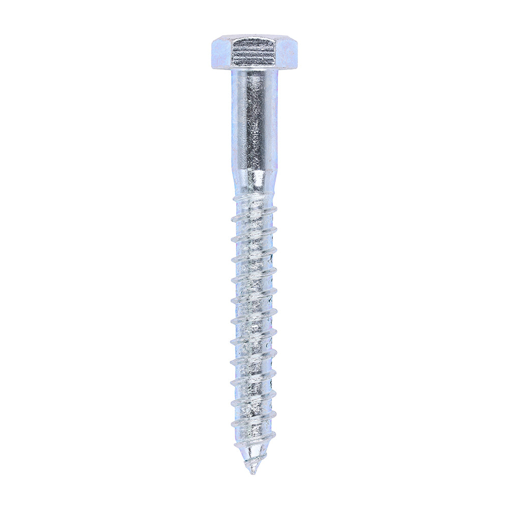 Coach Screws - Hex - Zinc | 12.0 x 100 product image