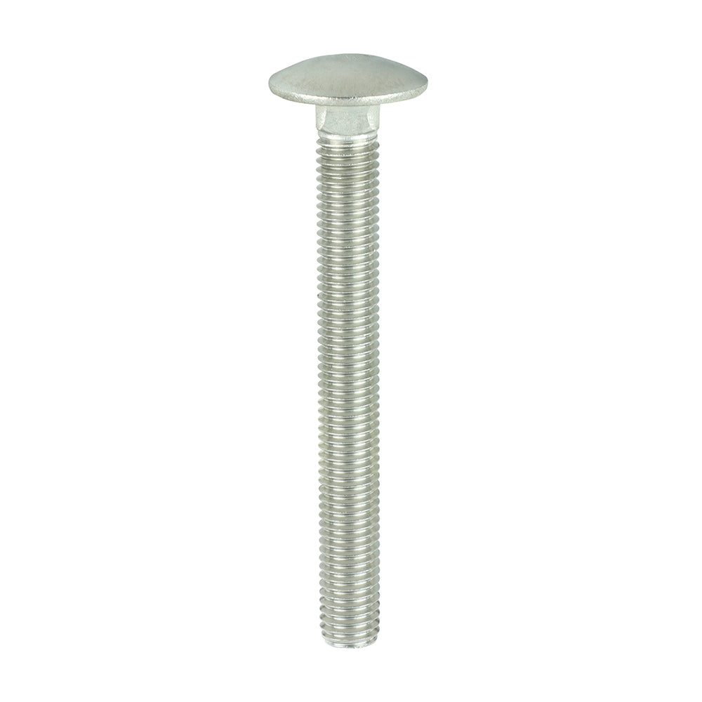 Carriage Bolts - A2 Stainless Steel | M12 x 110 product image