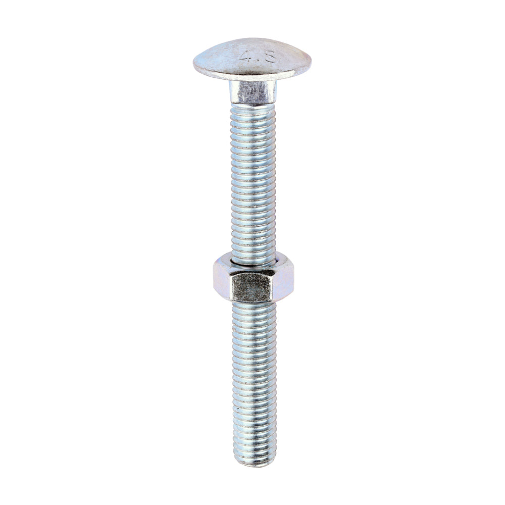 Carriage Bolts & Hex Nuts - Zinc | M12 x 110 product image