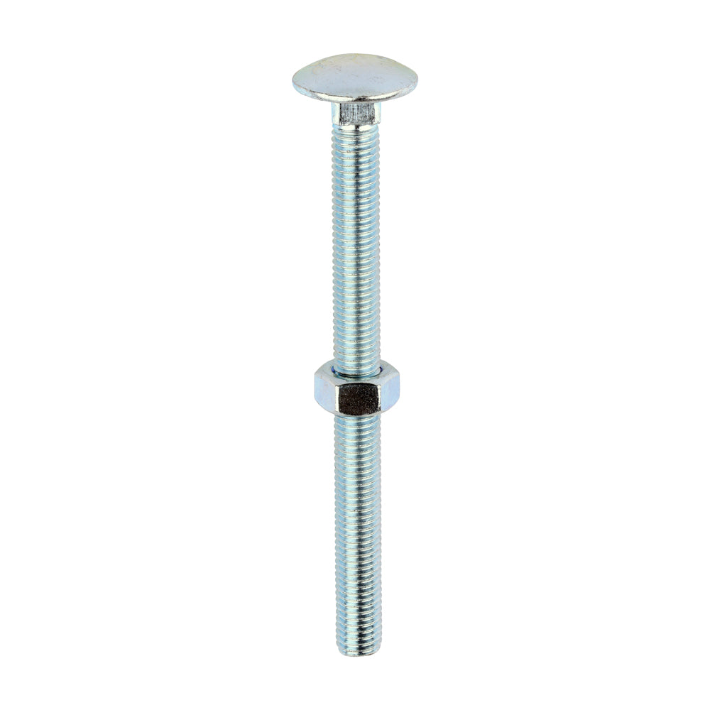 Carriage Bolts & Hex Nuts - Zinc | M12 x 150 product image