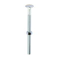 Carriage Bolts & Hex Nuts - Zinc | M12 x 180 | Box product image