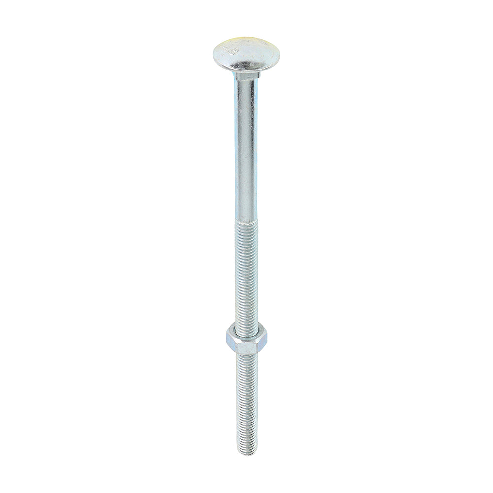 Carriage Bolts & Hex Nuts - Zinc | M12 x 240 product image
