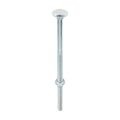 Carriage Bolts & Hex Nuts - Zinc | M12 x 240 product image