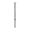 Carriage Bolts & Hex Nuts - Zinc | M12 x 250 product image