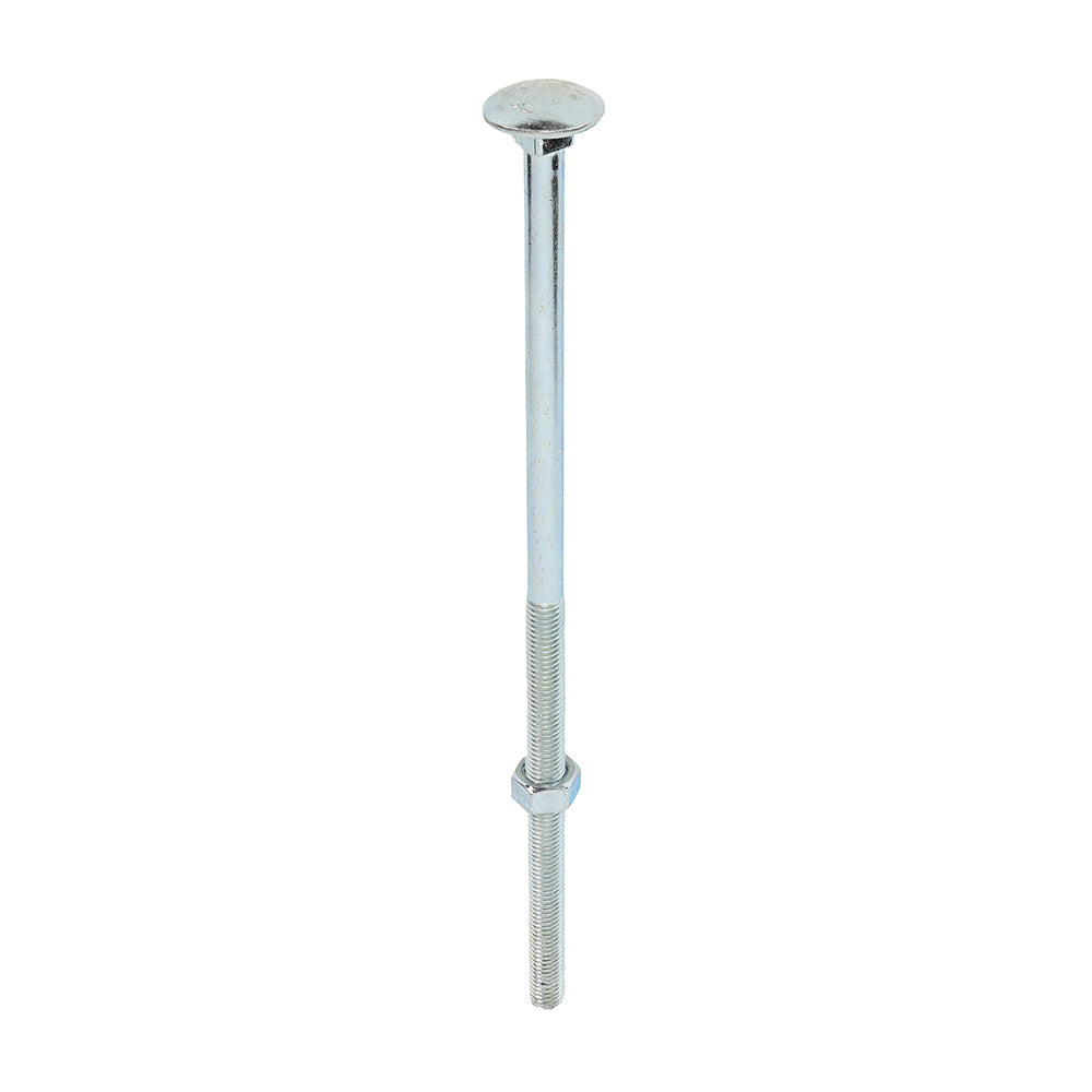 Carriage Bolts & Hex Nuts - Zinc | M12 x 300 product image