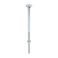 Carriage Bolts & Hex Nuts - Zinc | M12 x 300 product image