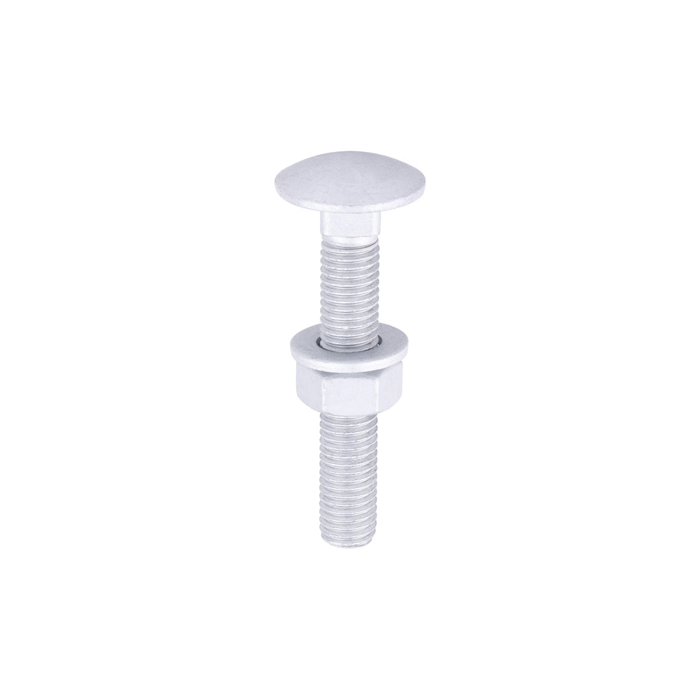 Carriage Bolts Hex Nuts & Form A Washers - Dome - Exterior - Silver | M12 x 75 product image