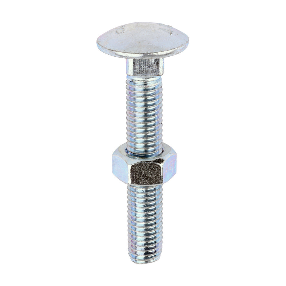 Carriage Bolts & Hex Nuts - Zinc | M12 x 75 | Box product image