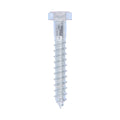 Coach Screws - Hex - Zinc | 12.0 x 80 product image