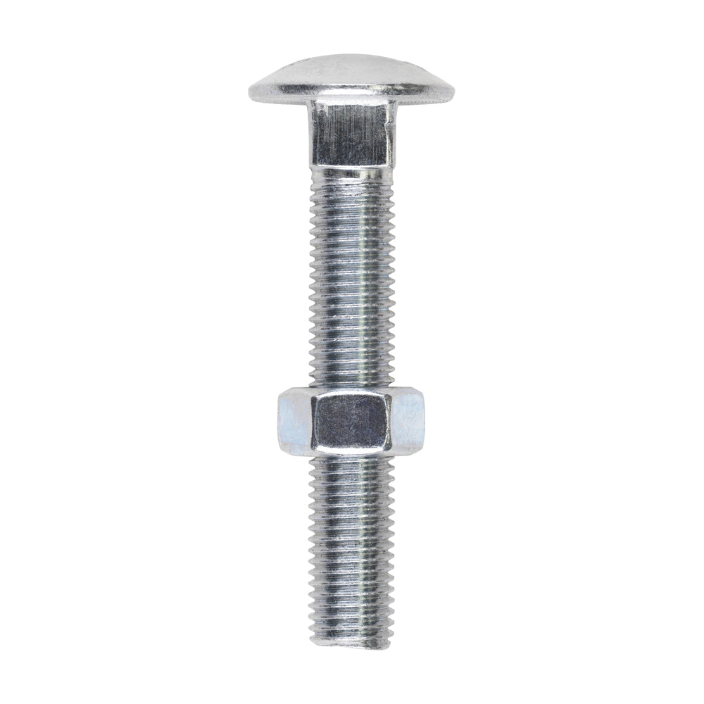 Carriage Bolts & Hex Nuts - Zinc | M16 x 100 product image
