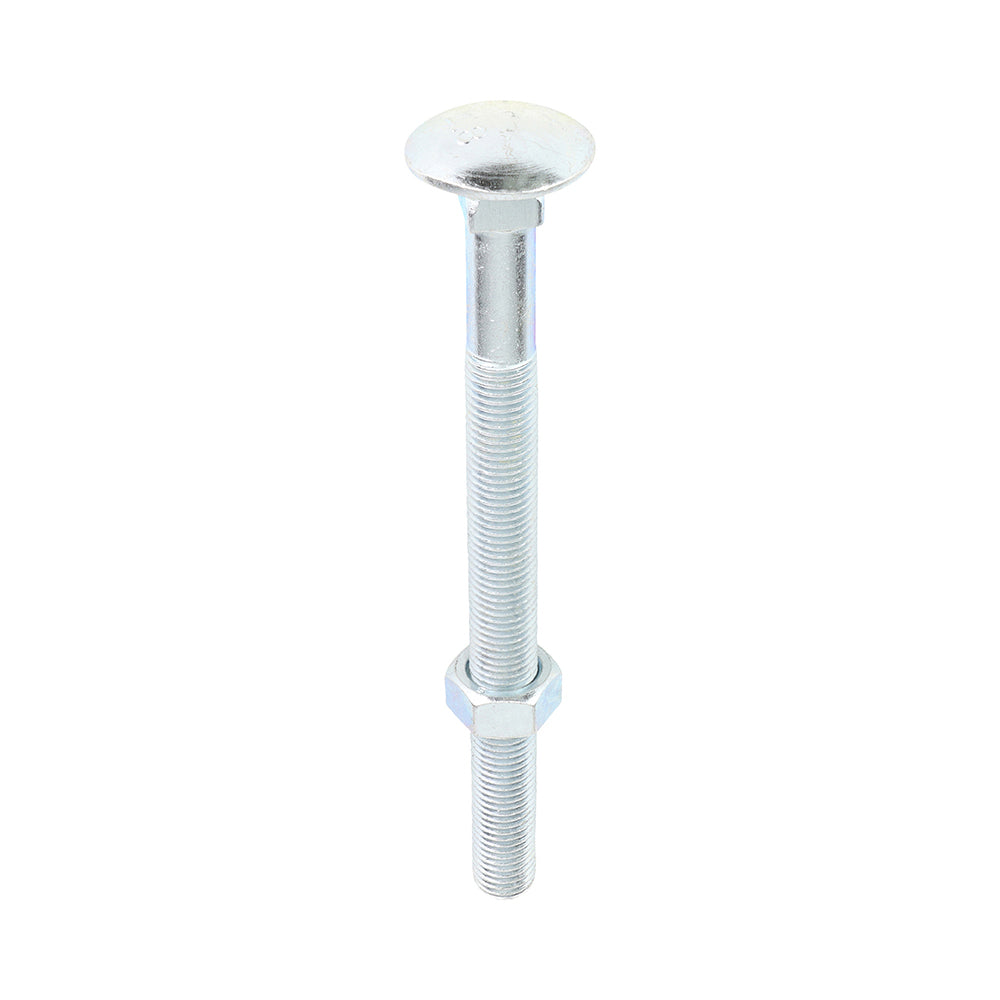 Carriage Bolts & Hex Nuts - Zinc | M16 x 200 product image