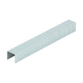 Heavy Duty Staples - Chisel Point - Galvanised - Bulk Box | 10mm product image