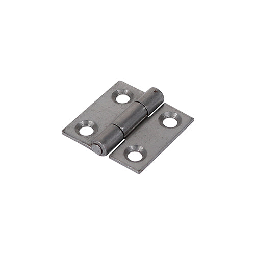 Plain Butt Hinge - Fixed Pin (1838) - Self Colour | 25 x 25 product image