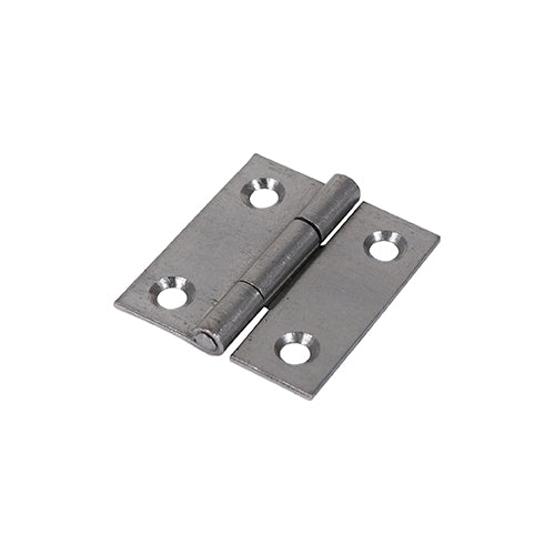 Plain Butt Hinge - Fixed Pin (1838) - Self Colour | 38 x 34 product image
