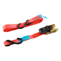 Ratchet Straps - S Hook - Standard Duty | 5m x 25mm | Box | Pack of 2 product image