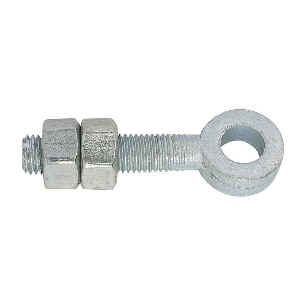 Adjustable Gate Eyes with Nuts - Zinc | M19 x 100 product image