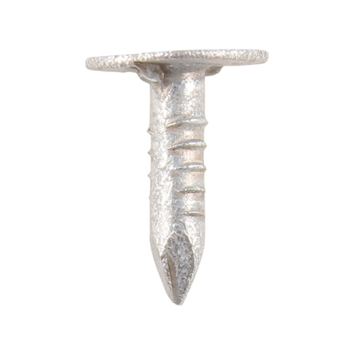 Extra Large Head Clout Nails - Galvanised | 50 x 3.00 | Bag | 0.5 Kilograms product image