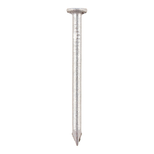 Round Wire Nails - Galvanised | 100 x 4.50 product image