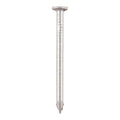 Round Wire Nails - Galvanised | 100 x 4.50 product image