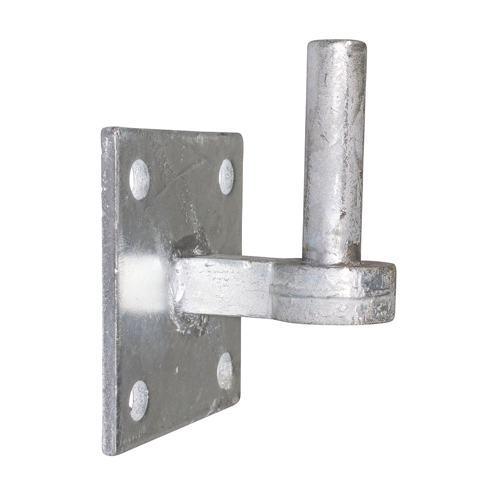 Hook on Square Plate - Hot Dipped Galvanised | 19mm product image