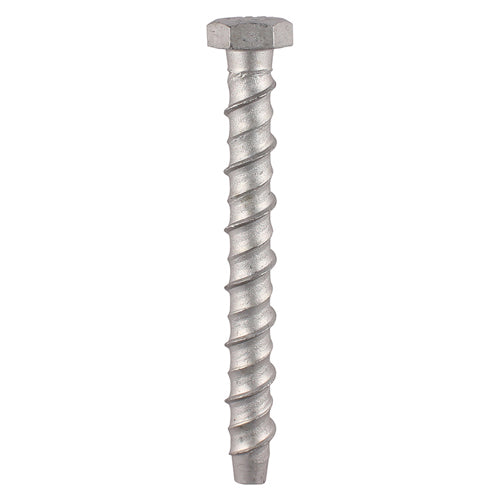 Masonry Bolts - Hex - Exterior - Silver | 12.0 x 130 product image
