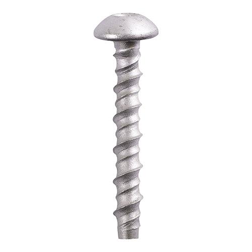 Multi-Fix Masonry Bolts - Pan - Exterior - Silver | 8.0 x 100/M10 product image