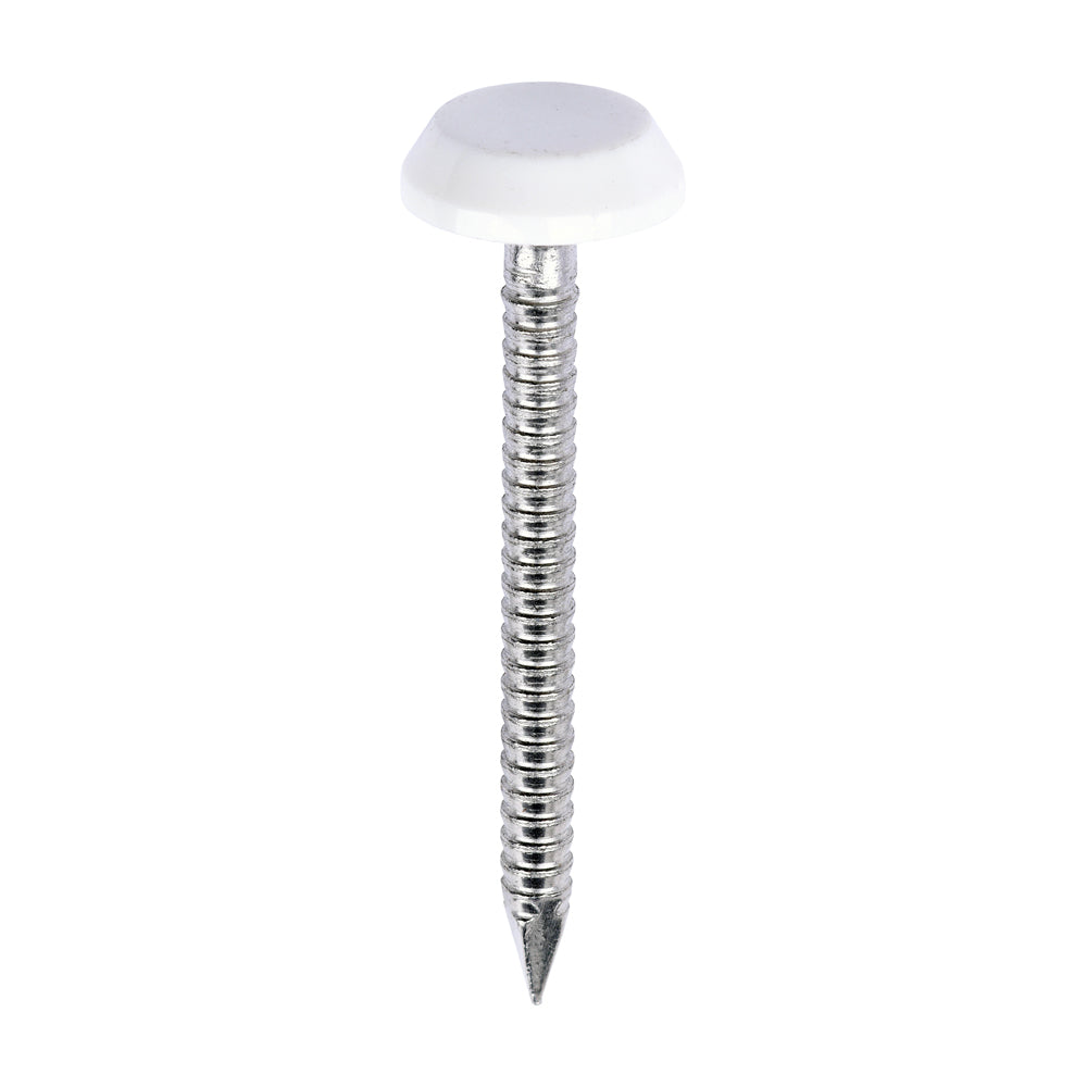 Polymer Headed Nails - A4 Stainless Steel - White | 40mm product image