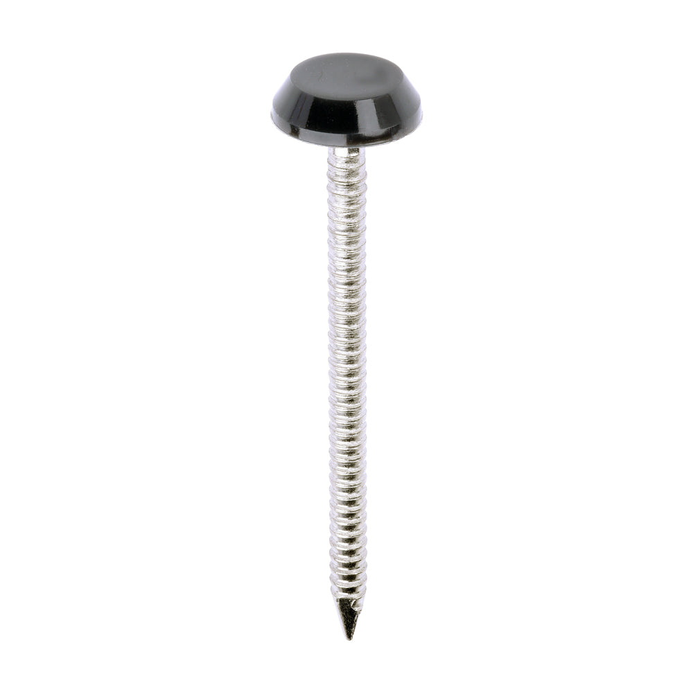 Polymer Headed Nails - A4 Stainless Steel - Anthracite Grey | 50mm product image