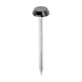 Polymer Headed Nails - A4 Stainless Steel - Black | 50mm product image