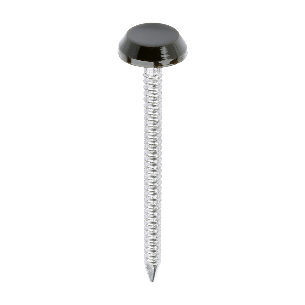 Polymer Headed Nails - A4 Stainless Steel - Mahogany | 50mm product image