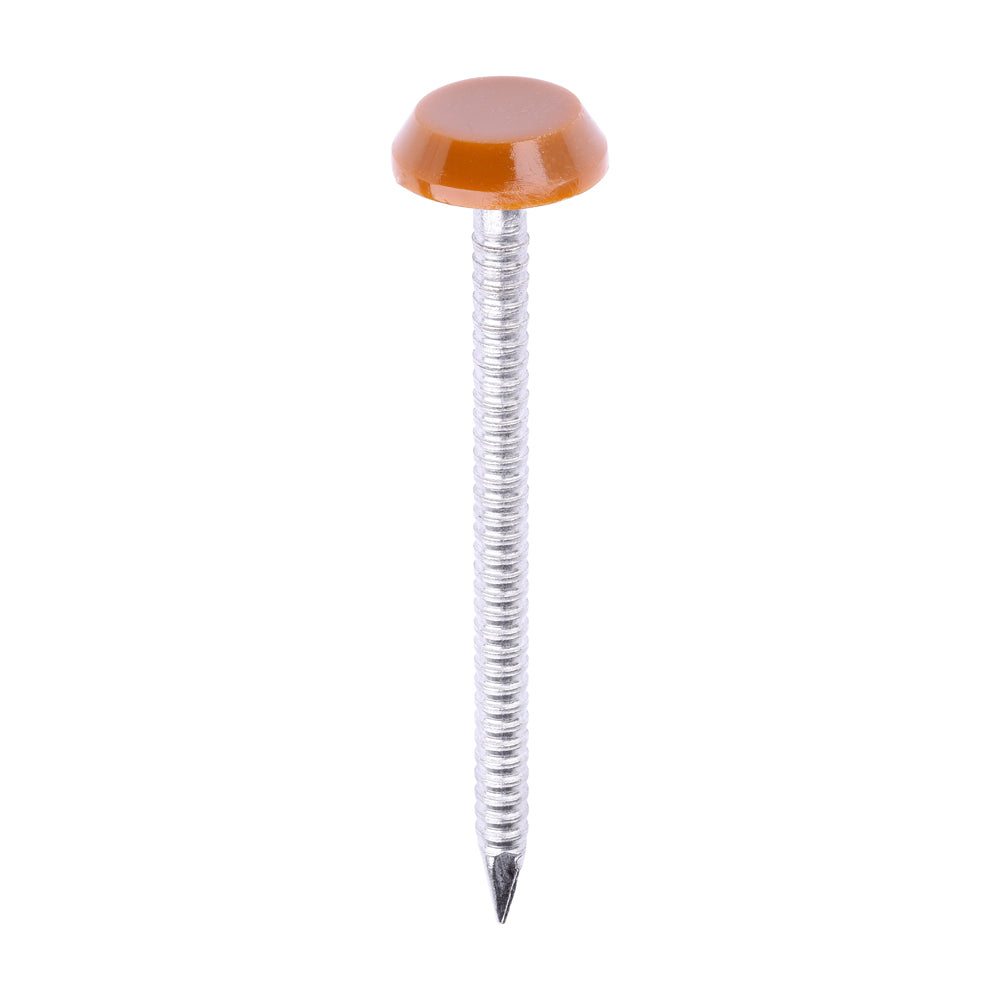 Polymer Headed Nails - A4 Stainless Steel - Clay Brown | 50mm product image