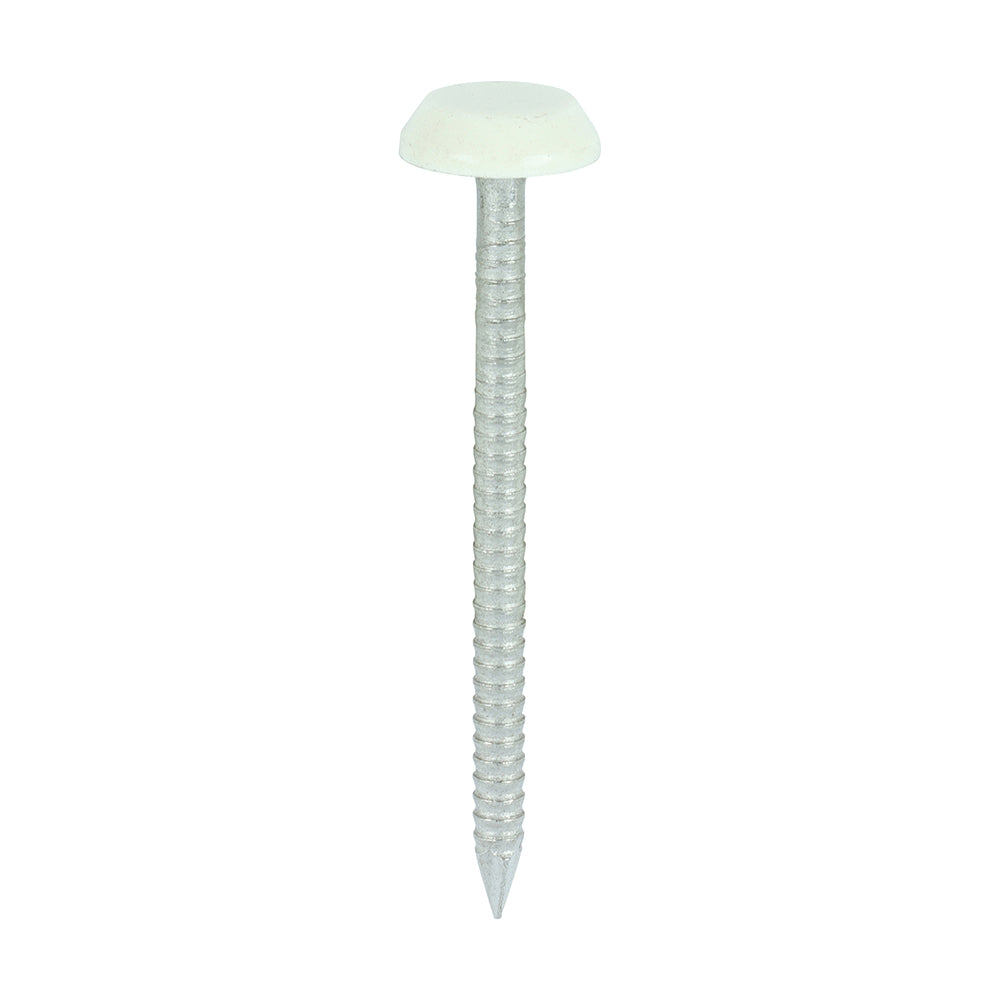 Polymer Headed Nails - A4 Stainless Steel - Chartwell Green | 50mm product image