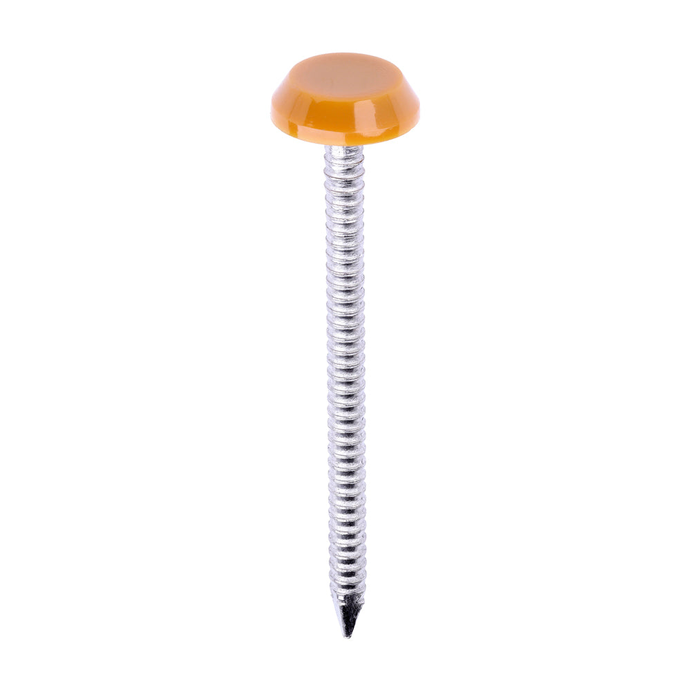 Polymer Headed Nails - A4 Stainless Steel - Oak | 50mm product image