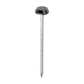 Polymer Headed Nails - A4 Stainless Steel - Anthracite Grey | 65mm product image
