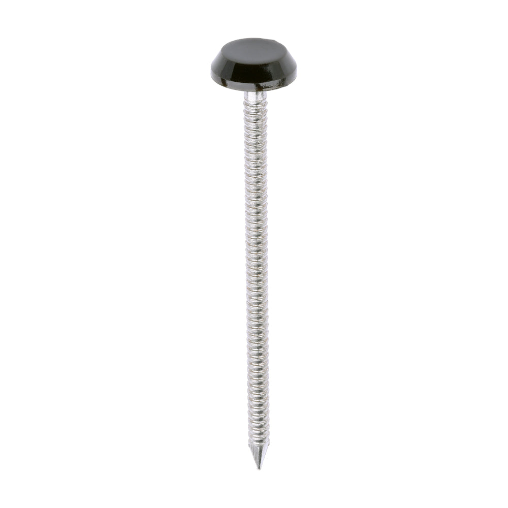 Polymer Headed Nails - A4 Stainless Steel - Mahogany | 65mm product image