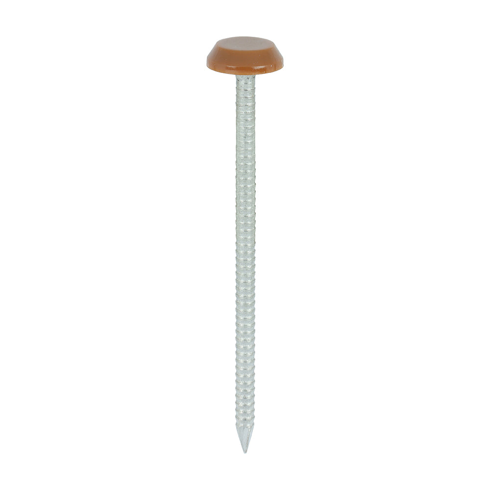 Polymer Headed Nails - A4 Stainless Steel - Clay Brown | 65mm product image