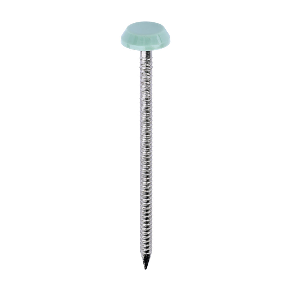 Polymer Headed Nails - A4 Stainless Steel - Chartwell Green | 65mm product image