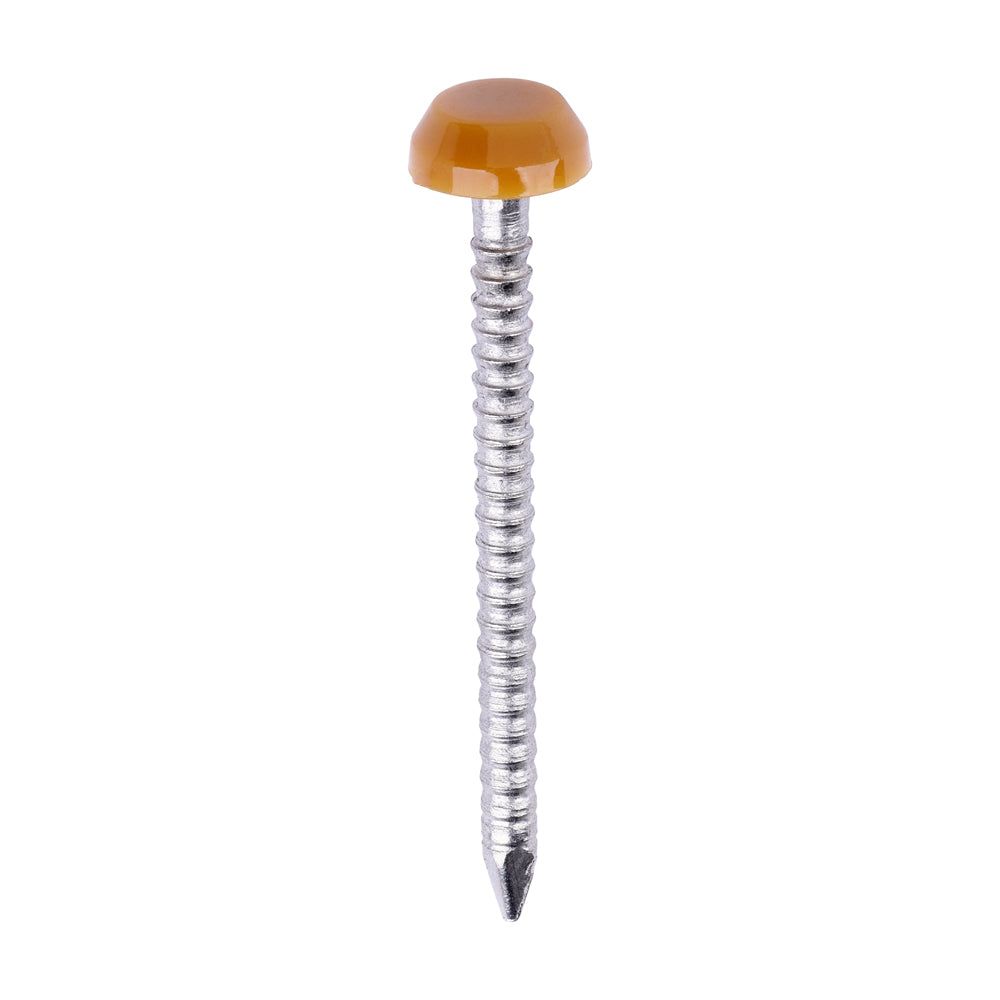 Polymer Headed Pins - A4 Stainless Steel - Oak | 30mm product image