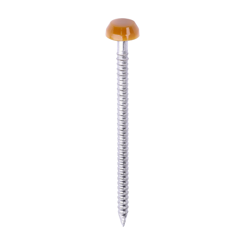 Polymer Headed Pins - A4 Stainless Steel - Oak | 40mm product image