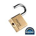 Premium Brass Lion Padlock - LN3 | 30mm product image