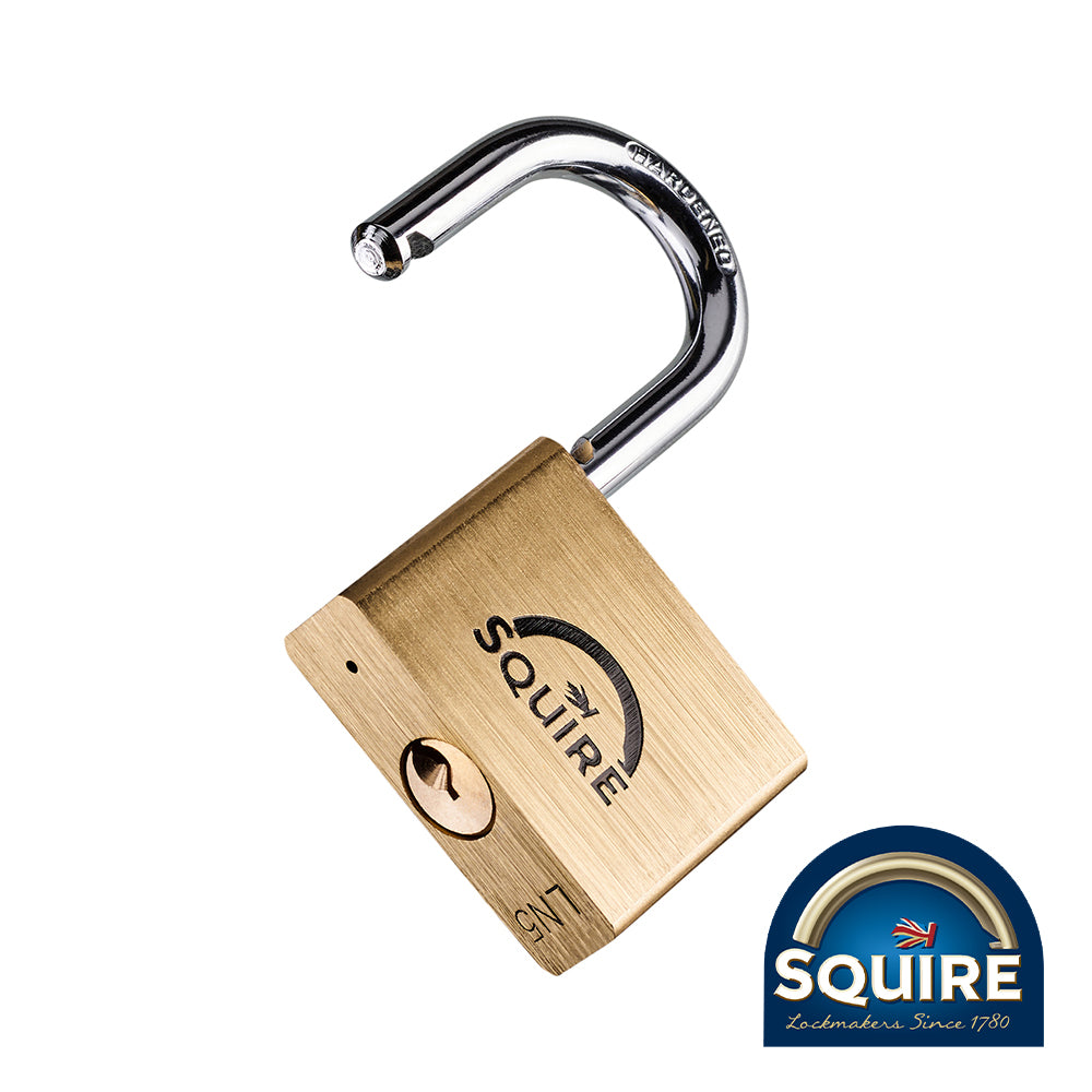 Premium Brass Lion Padlock - Stainless Steel Shackle - LN5S | 50mm product image